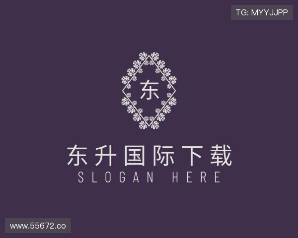 评述东升国际下载